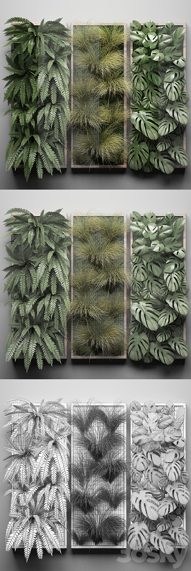 Vertical garden 29. Phytowall. picture. grass. fern. monstera. wall decor. phytomodule. vertical garden 3DSMax File - thumbnail 3