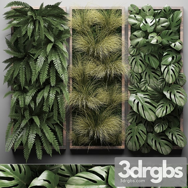 Vertical garden 29. phytowall, picture, grass, fern, monstera, wall decor, phytomodule, vertical garden - thumbnail 1