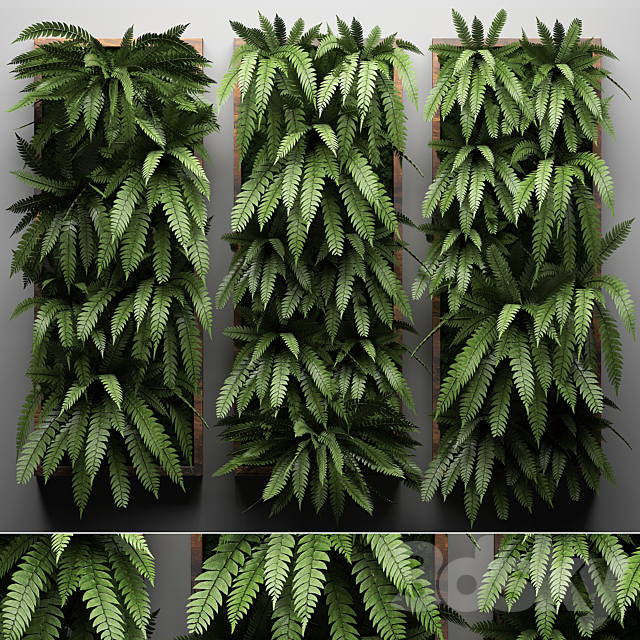 Vertical garden 30. fern picture vertical garden phytowall wall decor phytomodule eco design natural materials 3ds Max - thumbnail 1