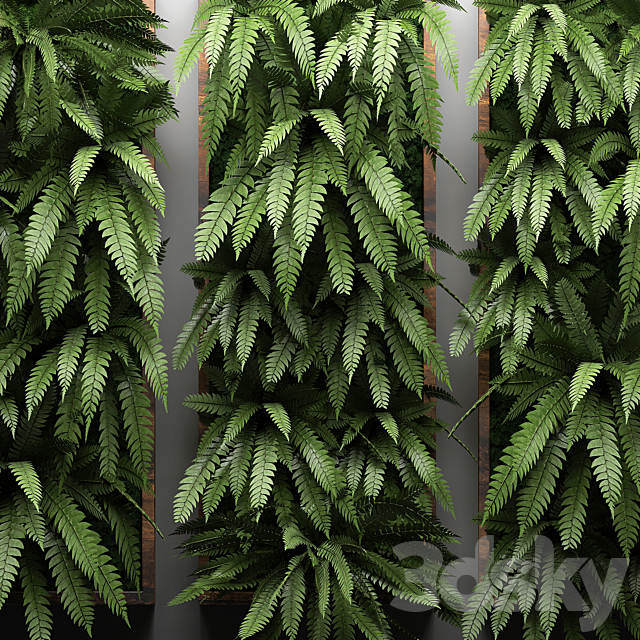 Vertical garden 30. fern picture vertical garden phytowall wall decor phytomodule eco design natural materials 3ds Max - thumbnail 2