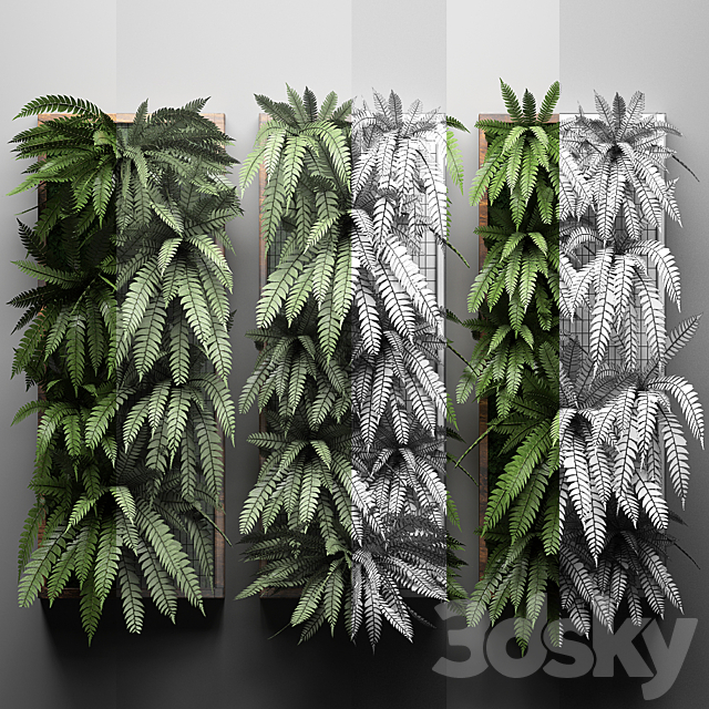 Vertical garden 30. fern picture vertical garden phytowall wall decor phytomodule eco design natural materials 3ds Max - thumbnail 3