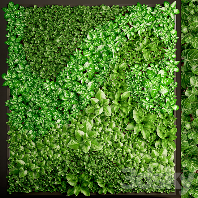 Vertical garden 6. Vertical garden. phytowall. phytomodule. landscaping. green painting. bush. wall decor. eco design 3DSMax File - thumbnail 1