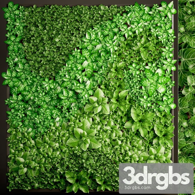 Vertical garden 6. vertical garden, phytowall, phytomodule, landscaping, green painting, bush, wall decor, eco design - thumbnail 1