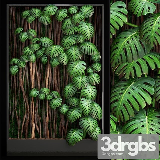 Vertical garden 9. monstera, phytowall, phytomodule, eco design, vertical garden, decorative - thumbnail 1