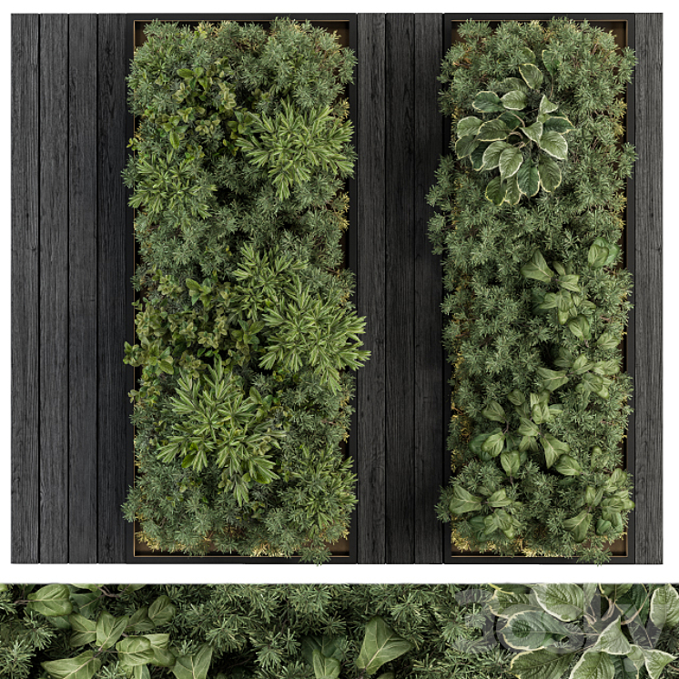 Vertical Garden Black Frame – Wall Decor 38 3DS Max - thumbnail 1