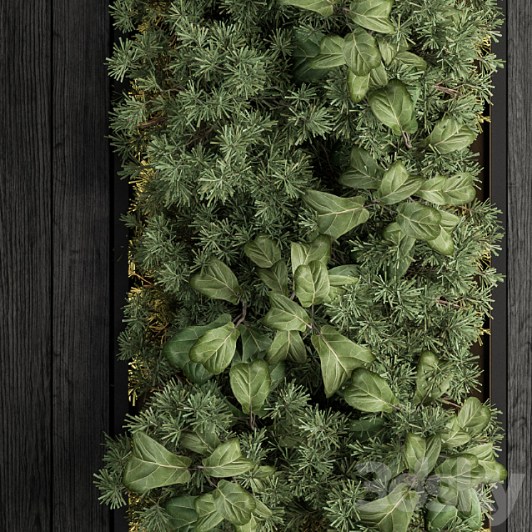 Vertical Garden Black Frame – Wall Decor 38 3DS Max - thumbnail 2