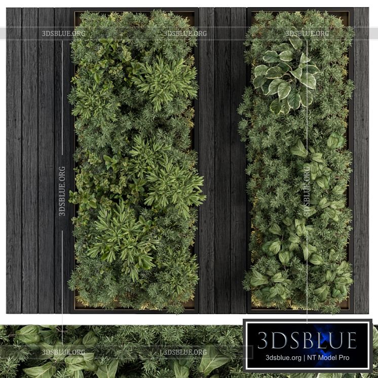 Vertical Garden Black Frame – Wall Decor 38 3DS Max - thumbnail 3