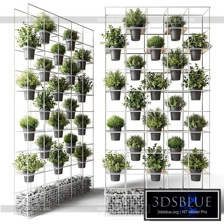 Vertical garden for potted plants 3DS Max - thumbnail 3