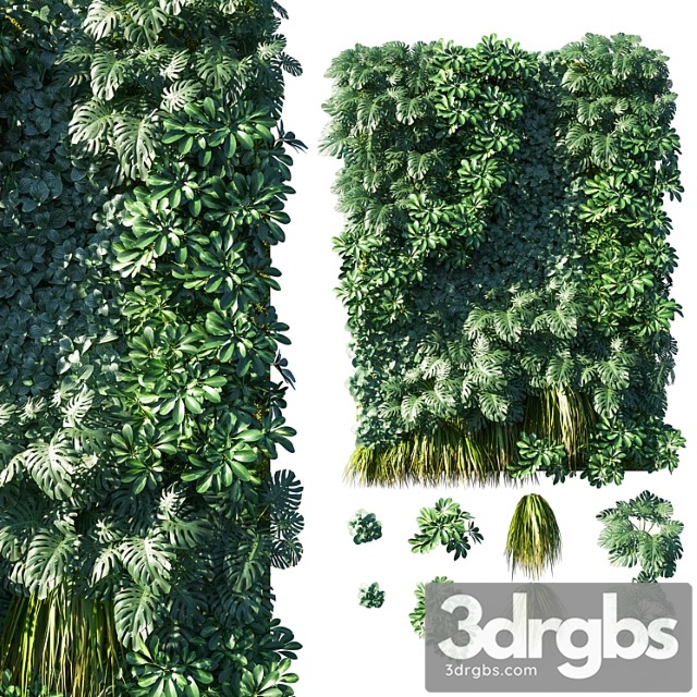 Vertical garden  green wall 02 - thumbnail 1