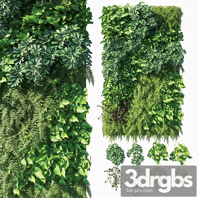 Vertical garden  green wall 03 - thumbnail 1