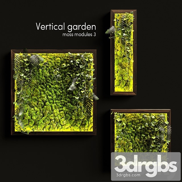 Vertical garden. moss modules 3 - thumbnail 1