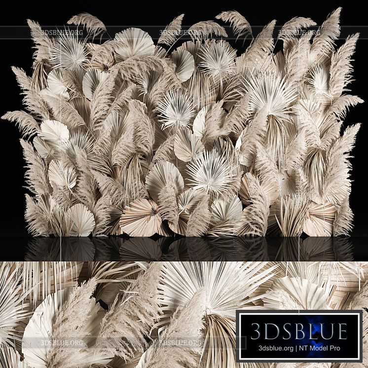 Vertical garden of dried flowers pampas grass dry palm branches Cortaderia Bouquet and dry reeds. 283. 3DS Max - thumbnail 3