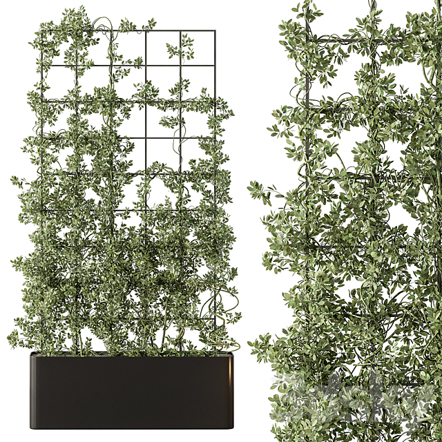 Vertical Garden Partiton – Set 101 3DS Max Model - thumbnail 2