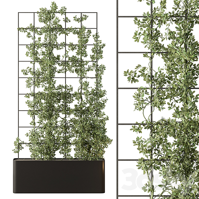 Vertical Garden Partiton – Set 101 3DS Max Model - thumbnail 3