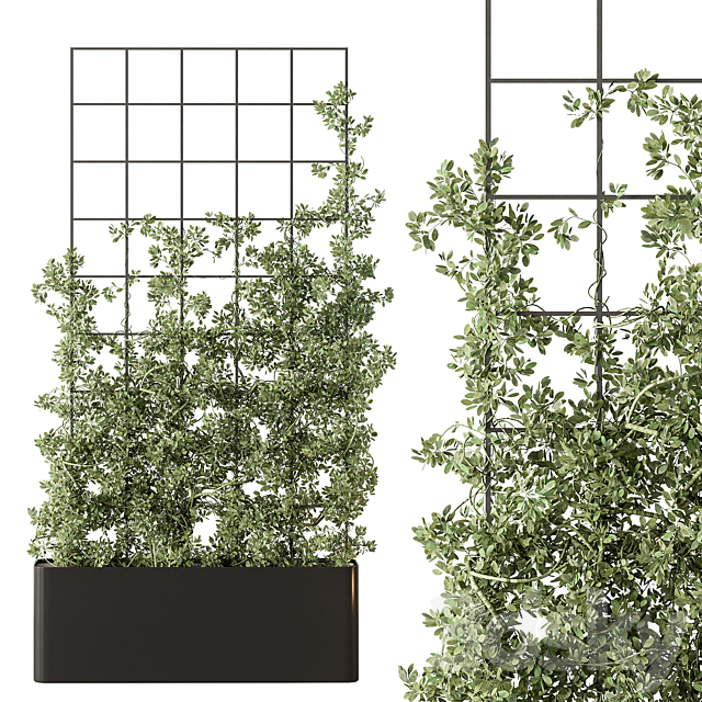 Vertical Garden Partiton – Set 101 3DS Max Model - thumbnail 4