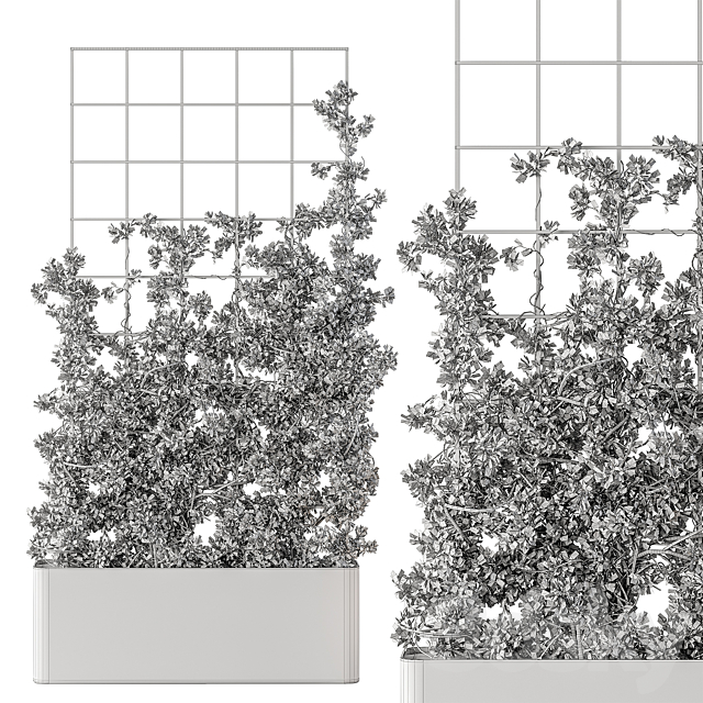 Vertical Garden Partiton – Set 101 3DS Max Model - thumbnail 5