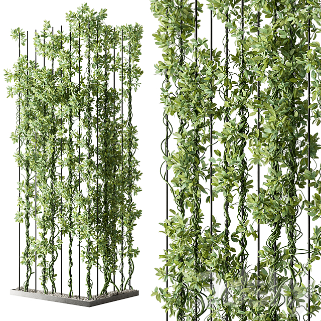 Vertical Garden Partiton – Set 111 3DS Max Model - thumbnail 2