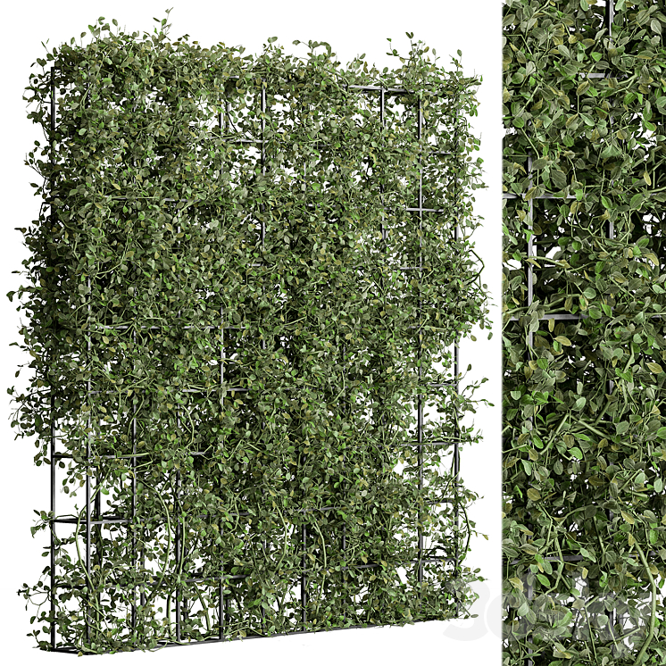 Vertical Garden Partiton – Set 81 3DS Max - thumbnail 1