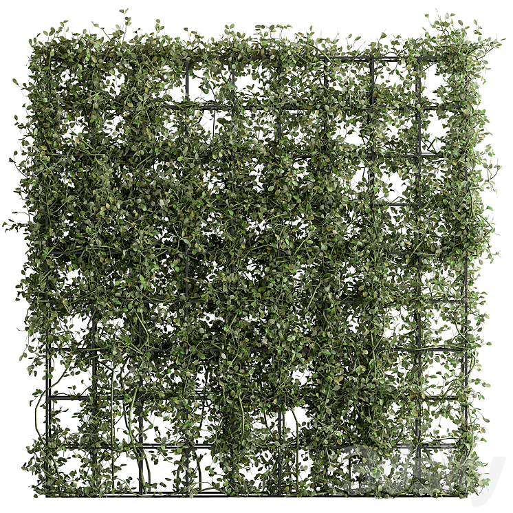 Vertical Garden Partiton – Set 81 3DS Max - thumbnail 2