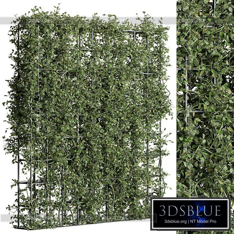 Vertical Garden Partiton – Set 81 3DS Max - thumbnail 3