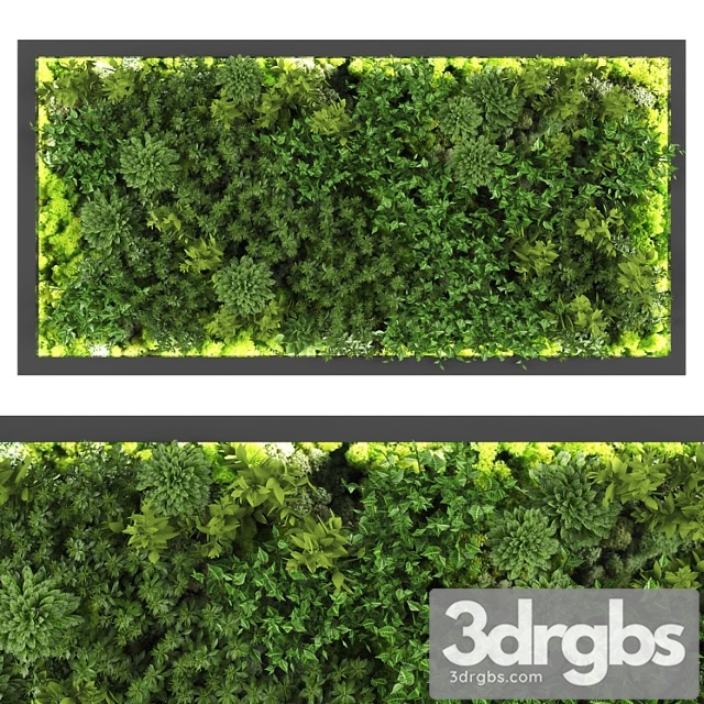 Vertical garden169 - thumbnail 1