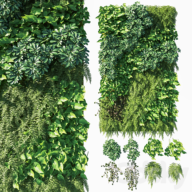 Vertical garden_ Green wall 03 3DSMax File - thumbnail 1