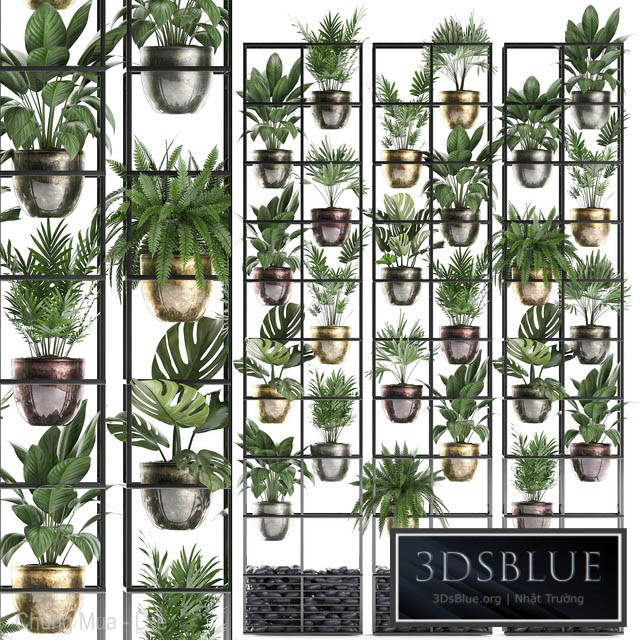 Vertical gardening. 27. Shelf with plants rack fern areca palm monstera loft indoor plants vertical garden phytowall phytomodule pots eco design Raphis palm 3DS Max - thumbnail 3