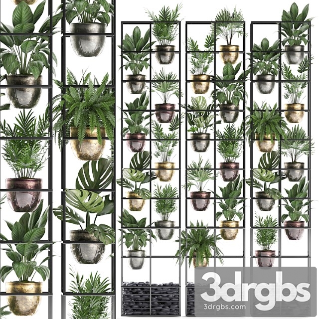 Vertical gardening. 27. shelf with plants, rack, fern, areca palm, monstera, loft, indoor plants, vertical garden, phytowall, phytomodule, pots, eco design, raphis palm - thumbnail 1