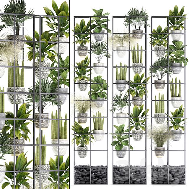 Vertical gardening. 31. Shelf with flowers grass ficus Raphis indoor plants vertical garden phytowall phytomodule pots eco design sansevieria ficus lyrata Raphis palm rack 3ds Max - thumbnail 1