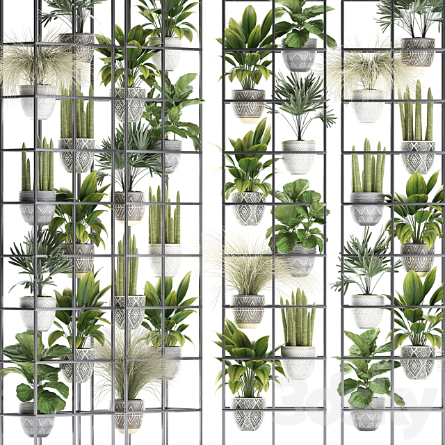 Vertical gardening. 31. Shelf with flowers grass ficus Raphis indoor plants vertical garden phytowall phytomodule pots eco design sansevieria ficus lyrata Raphis palm rack 3ds Max - thumbnail 2