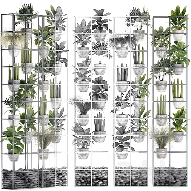 Vertical gardening. 31. Shelf with flowers grass ficus Raphis indoor plants vertical garden phytowall phytomodule pots eco design sansevieria ficus lyrata Raphis palm rack 3ds Max - thumbnail 3