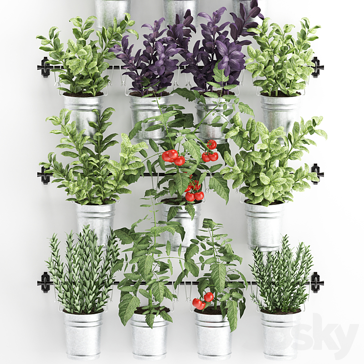 Vertical gardening. 33. Kitchen garden vegetable garden vegetables herbs tomatoes rosemary basil railing phytowall phytomodule 3DS Max - thumbnail 2