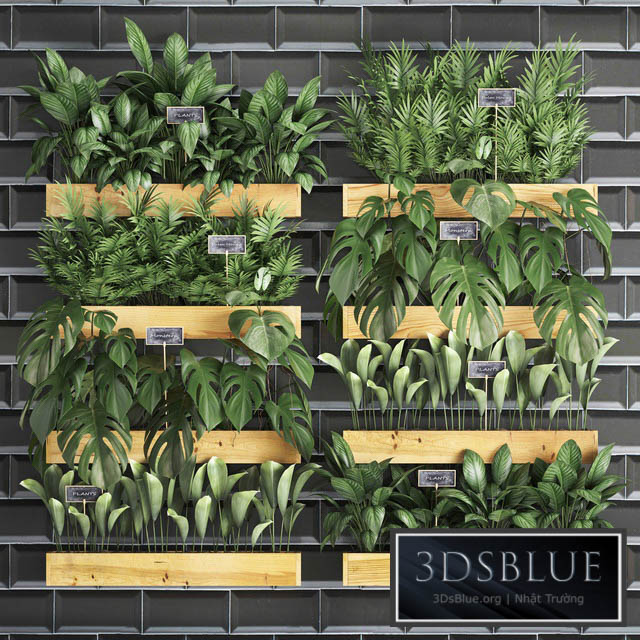 Vertical gardening. 40. Shelf with flowers monstera areca palm tree indoor plants black tiles phytowall phytomodule eco design vertical garden 3DS Max - thumbnail 3