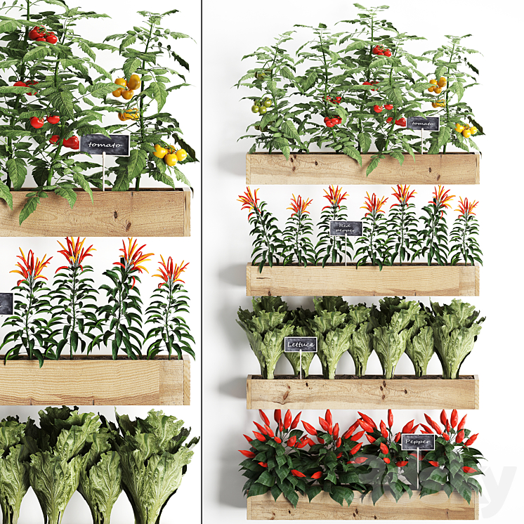 Vertical gardening. 45 Kitchen garden kitchen garden vegetables herbs peppers tomatoes tomatoes Lettuce phytomodule phytowall eco design natural decor vegetable garden 3DS Max - thumbnail 1