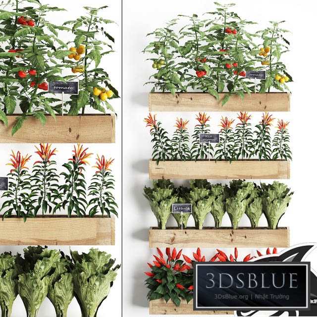 Vertical gardening. 45 Kitchen garden kitchen garden vegetables herbs peppers tomatoes tomatoes Lettuce phytomodule phytowall eco design natural decor vegetable garden 3DS Max - thumbnail 3