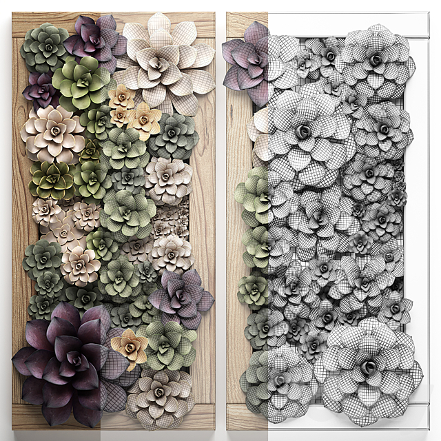 Vertical gardening home garden in a wall pot frame of succulents Echeveria painting. Set 54 3ds Max - thumbnail 3