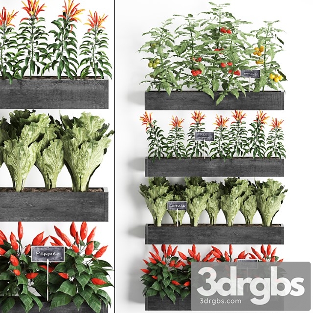 Vertical gardening in wooden wall boxes pots with kitchen garden, vegetable garden, vegetables, herbs, peppers, tomatoes, tomatoes, lettuce. set 47. - thumbnail 1