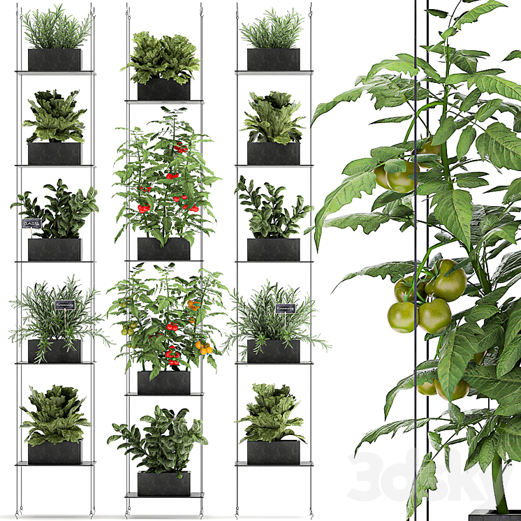 Vertical gardening kitchen garden garden with vegetables tomatoes peppers herbs lettuce rosemary. Set 69. 3DS Max - thumbnail 1