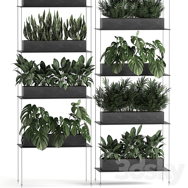 Vertical gardening of the home garden on a black flower shelf with a Monstera a phytosten a phytomodule. Set of 64 3DS Max Model - thumbnail 2