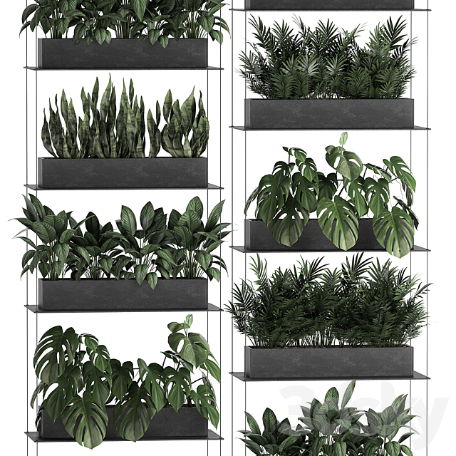 Vertical gardening of the home garden on a black flower shelf with a Monstera a phytosten a phytomodule. Set of 64 3DS Max Model - thumbnail 3