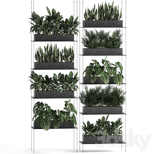 Vertical gardening of the home garden on a black flower shelf with a Monstera a phytosten a phytomodule. Set of 64 3DS Max Model - thumbnail 4