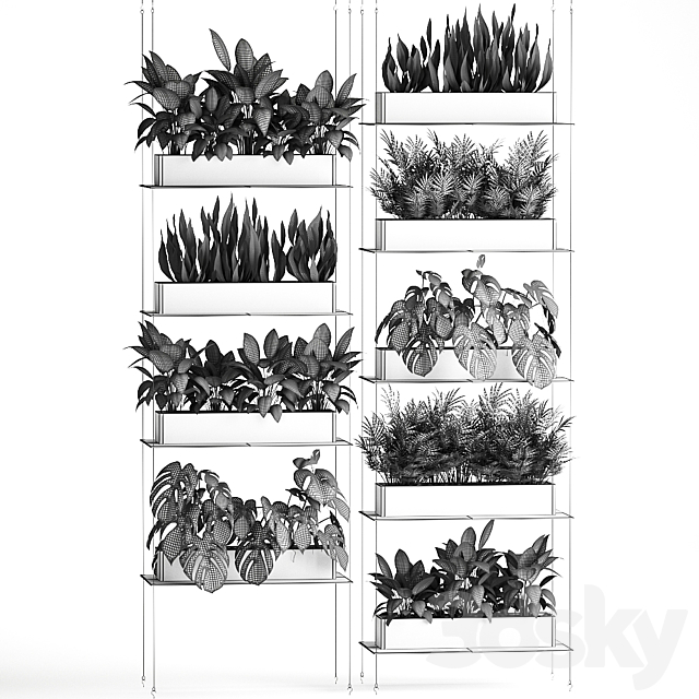 Vertical gardening of the home garden on a black flower shelf with a Monstera a phytosten a phytomodule. Set of 64 3DS Max Model - thumbnail 5