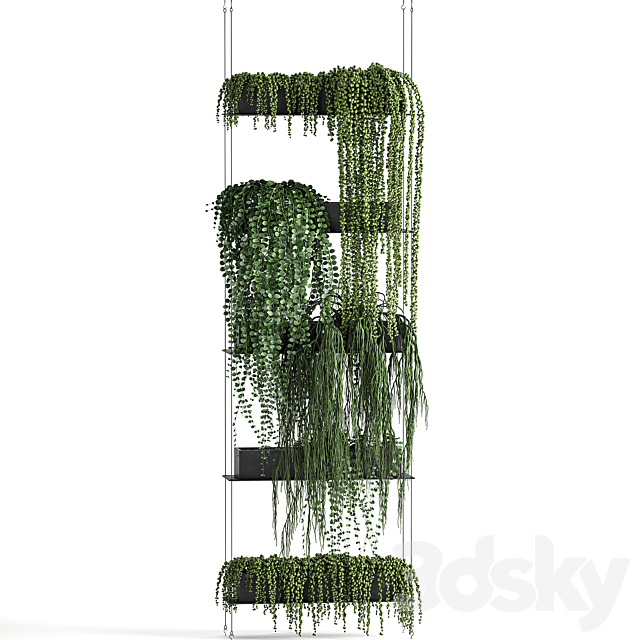 Vertical gardening Succulents hanging plants a black shelf a Krestovnik a phytostena a phytomodule. Set 65 3DS Max Model - thumbnail 4