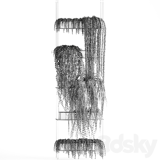 Vertical gardening Succulents hanging plants a black shelf a Krestovnik a phytostena a phytomodule. Set 65 3DS Max Model - thumbnail 5