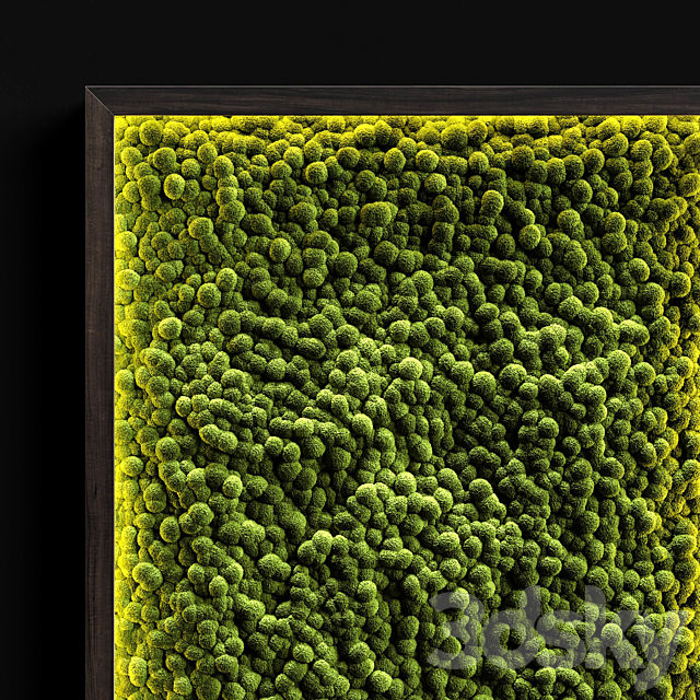 Vertical gardens 3DSMax File - thumbnail 3