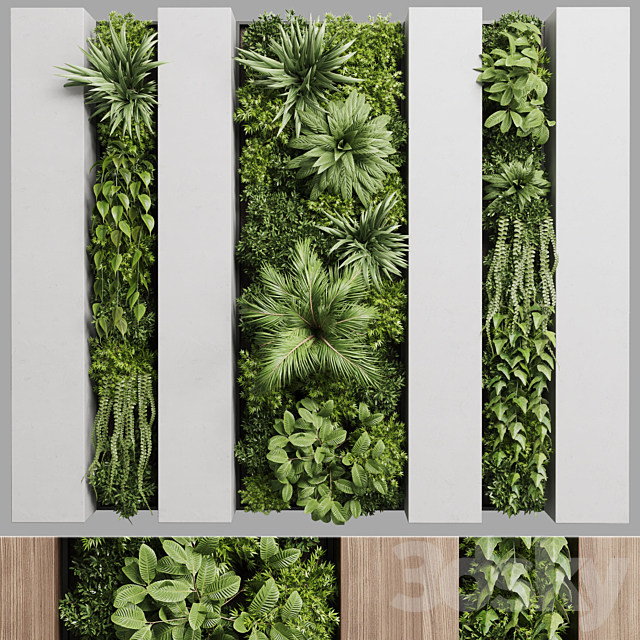 Vertical graden wall decor box – plants set partition 36 3DSMax File - thumbnail 2