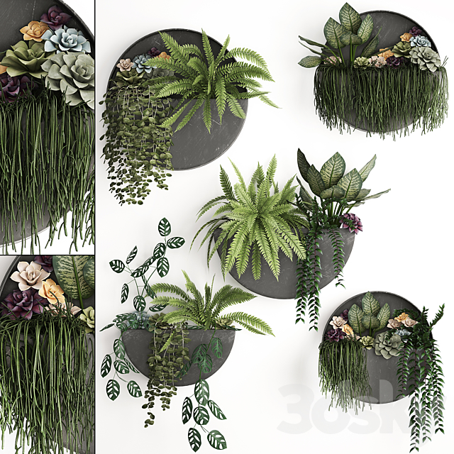 Vertical landscaping for the wall with a black metal shelf with Garden. Succulents. hanging plants. Ferns. Set 56 3DSMax File - thumbnail 1