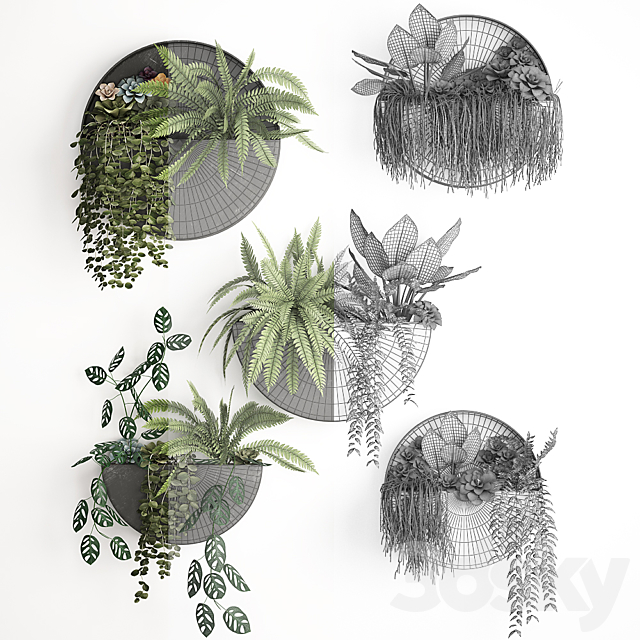 Vertical landscaping for the wall with a black metal shelf with Garden. Succulents. hanging plants. Ferns. Set 56 3DSMax File - thumbnail 3