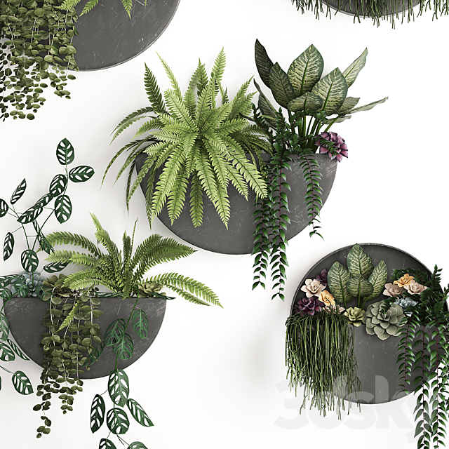 Vertical landscaping for the wall with a black metal shelf with Garden. Succulents. hanging plants. Ferns. Set 56 3DSMax File - thumbnail 4