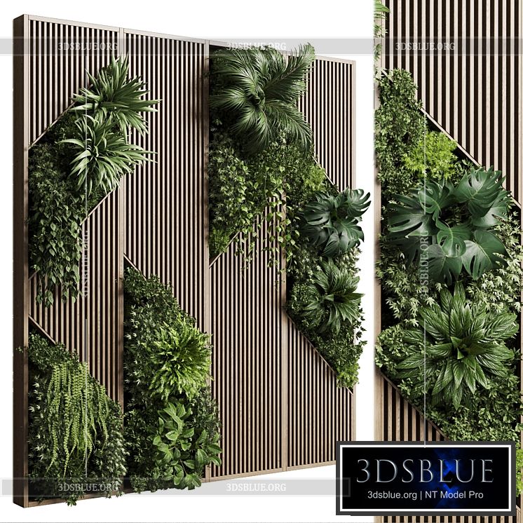 Vertical Wall Garden With Wooden frame – collection of houseplants indoor 41 3DS Max - thumbnail 3